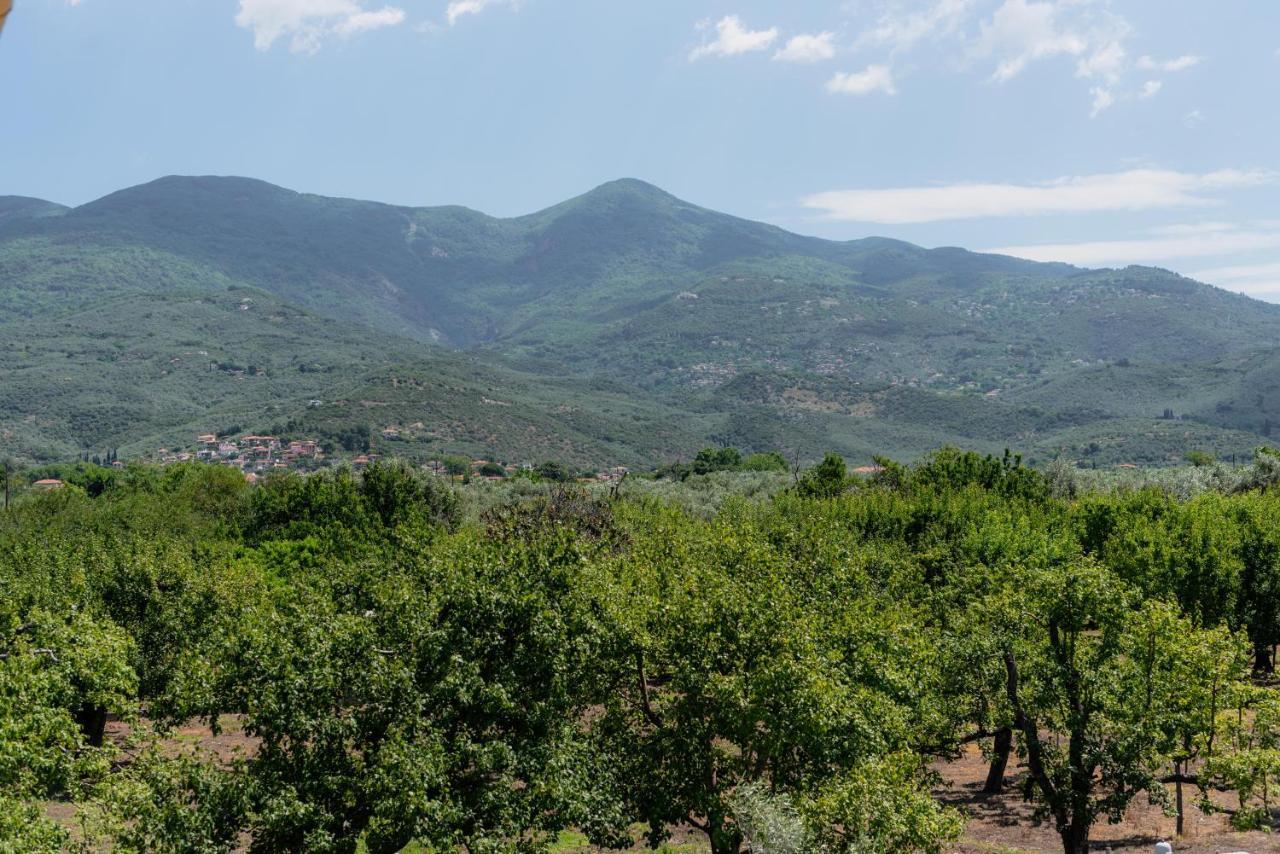 Vila Karavos Grove Káto Lekhónia Exteriér fotografie